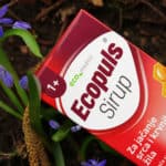 Ecopuls 1