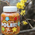 Polen 3