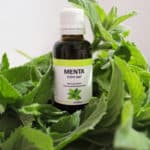 iMenta 5