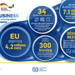 GIZ_EU4Business-infografika-BHS