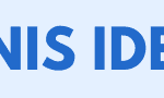 bizis ideje