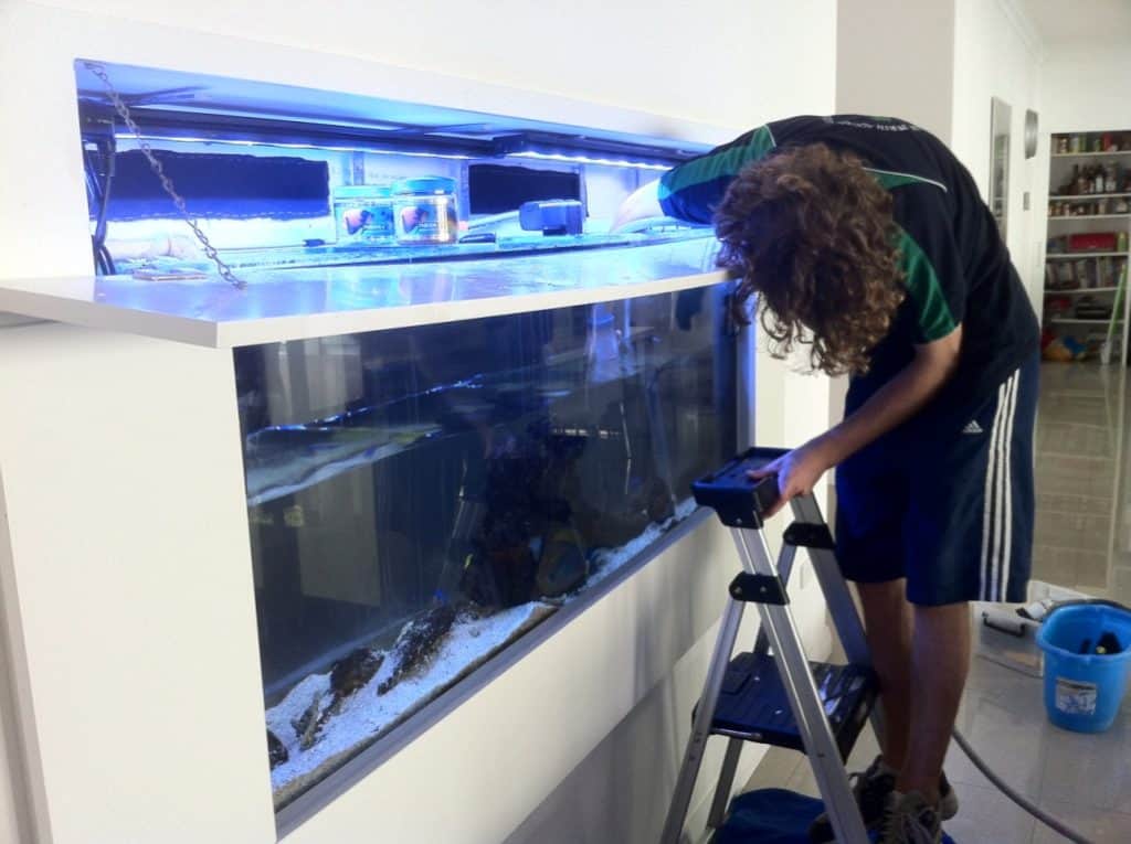 posao održavanja i čišćenja akvarijuma