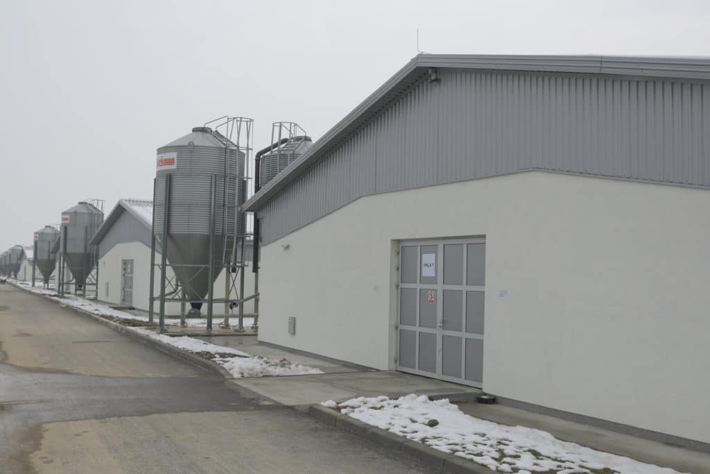 Kompanija Bingo otvorila novu farmu pilića u Vukovijama / Proizvodnja dva miliona pilića na godišnjem nivou