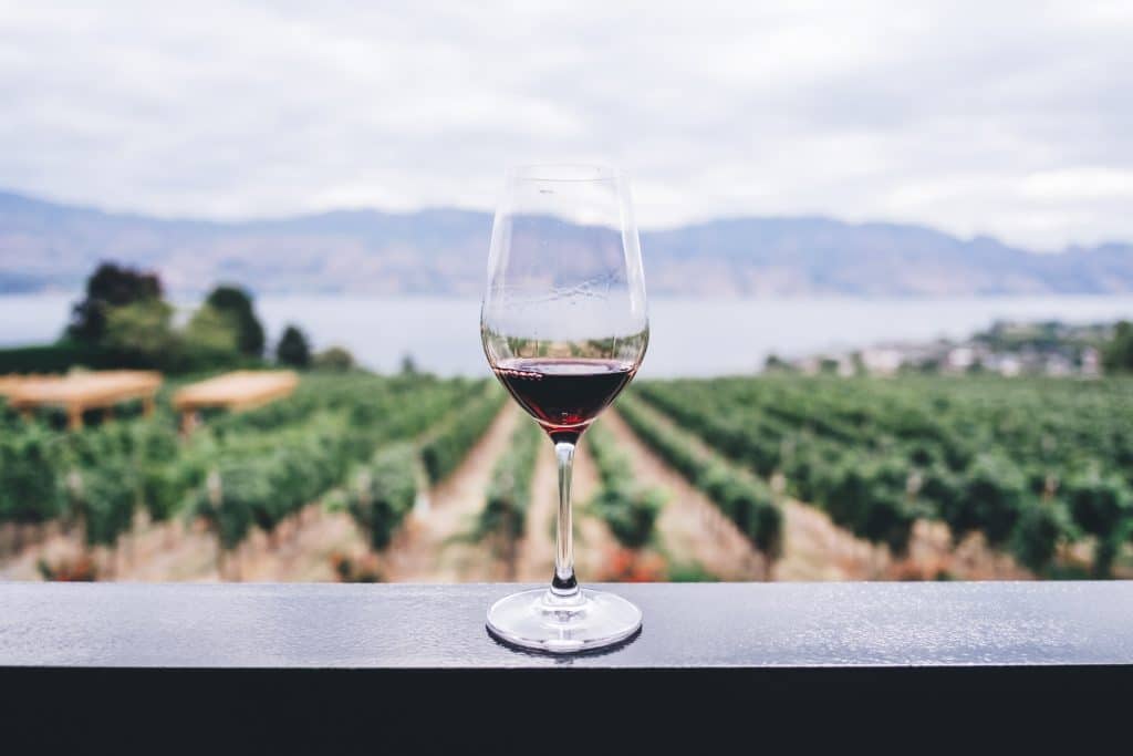 kako da otvorite vinariju